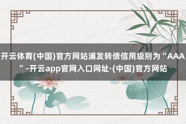 开云体育(中国)官方网站浦发转债信用级别为“AAA”-开云app官网入口网址·(中国)官方网站